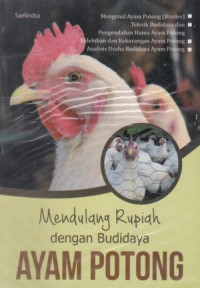 Mendulang Rupiah dengan Budidaya Ayam Potong