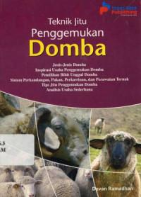 Teknik Jitu Penggemukan Domba