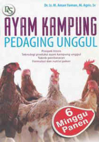 AYAM KAMPUNG PEDAGING UNGGUL