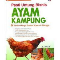 PASTI UNTUNG BISNIS AYAM KAMPUNG