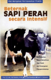 Beternak Sapi Perah Secara Intensif