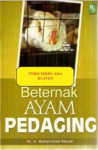 Beternak Ayam Pedaging