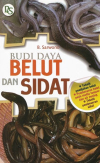 BUDI DAYA BELUT DAN SIDAT