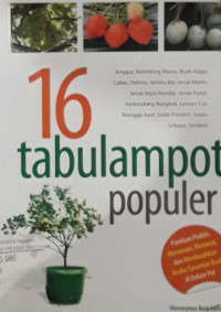 16 Tabulampot Populer